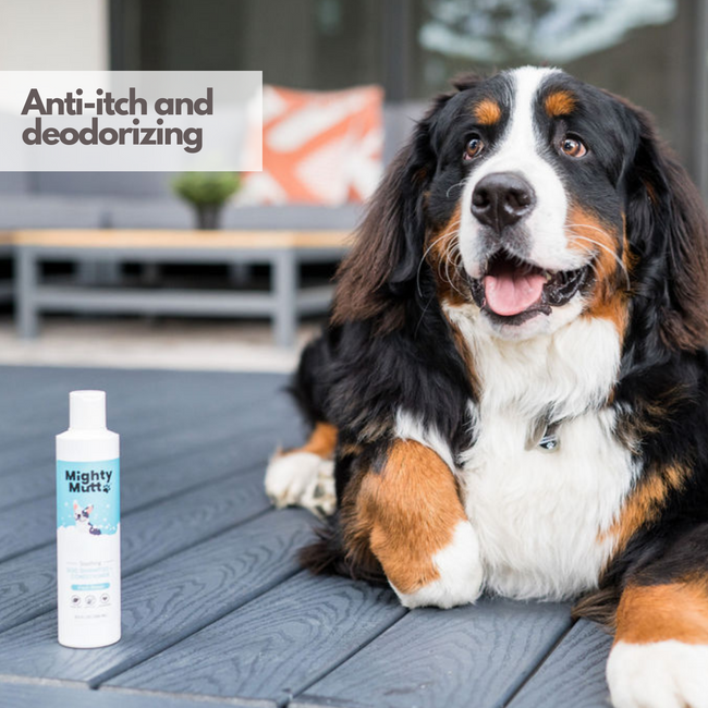 Anti itch top dog shampoo
